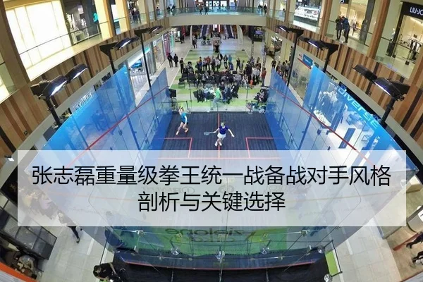 张志磊重量级拳王统一战备战对手风格剖析与关键选择